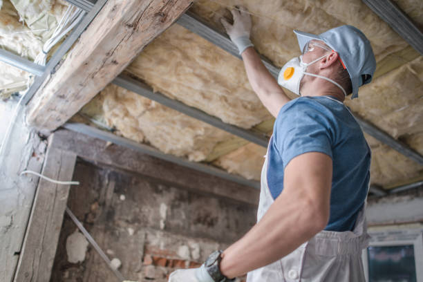 Best Insulation Installation Services in Lake Station, IN